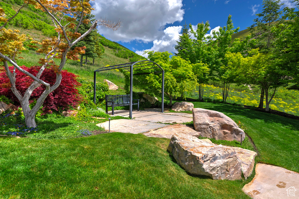 View of yard with a patio