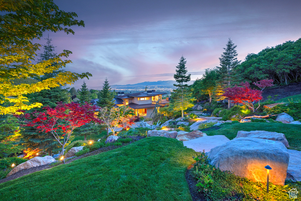 View of yard at dusk