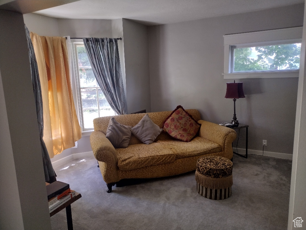 Living room featuring carpet floors