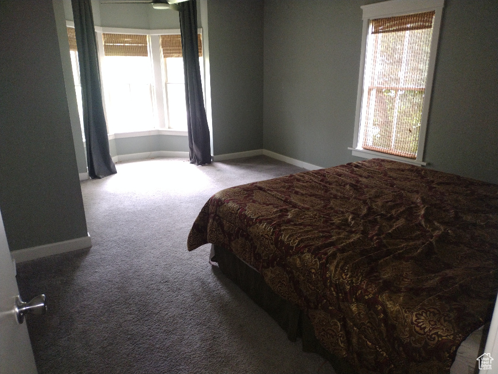 Carpeted bedroom with multiple windows
