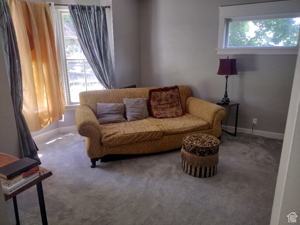 View of carpeted living room