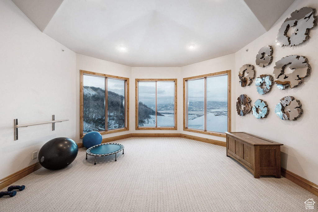 Exercise room featuring plenty of natural light, a mountain view, and carpet flooring