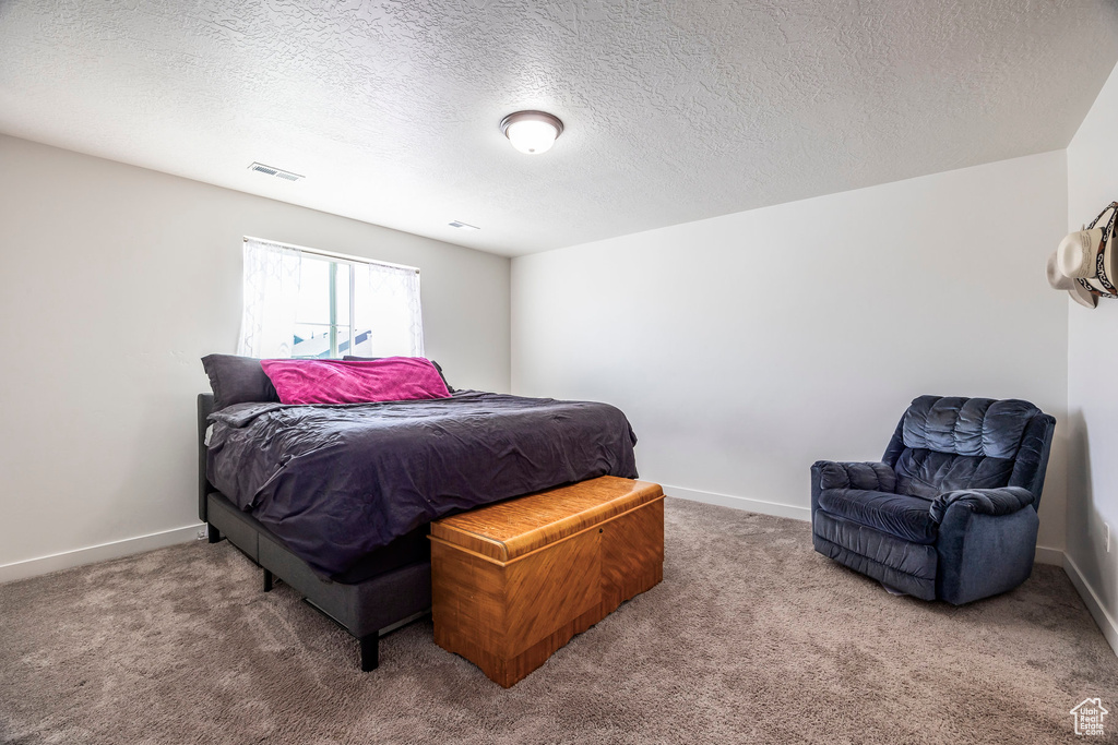 Carpeted bedroom featuring a textured ceiling