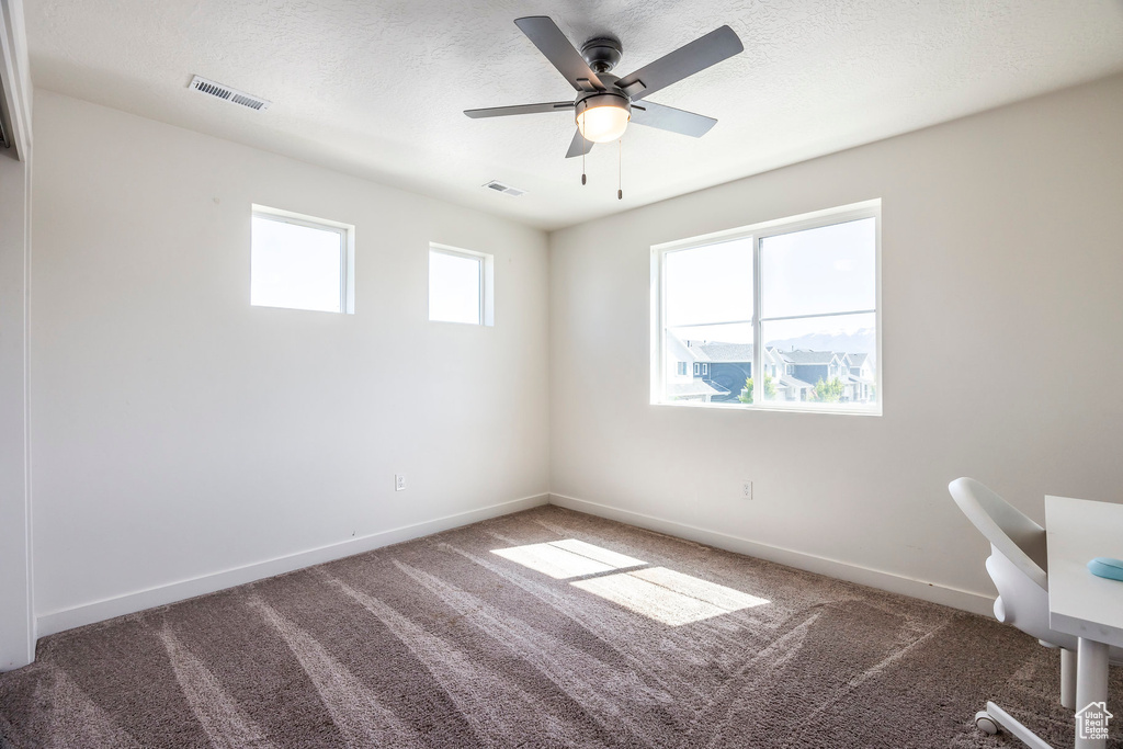 Interior space featuring a wealth of natural light, carpet, ceiling fan, and a textured ceiling