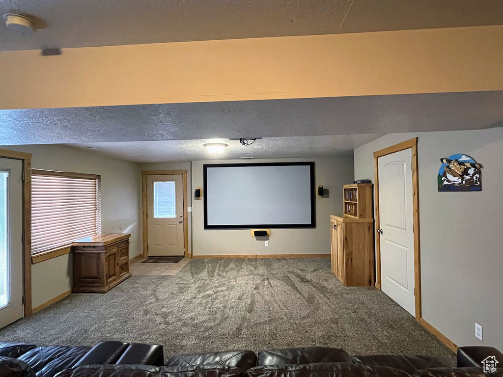 Carpeted cinema with a textured ceiling