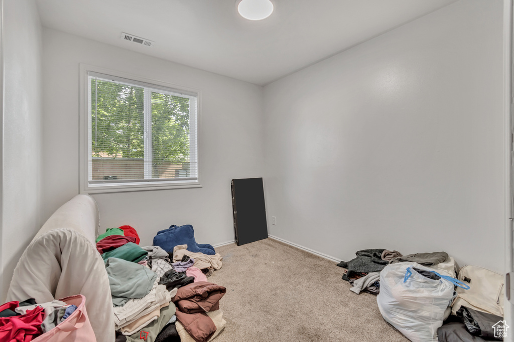 Miscellaneous room featuring carpet floors