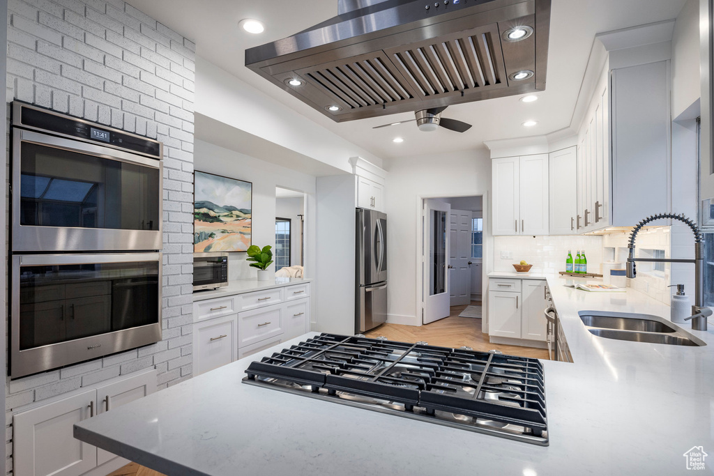 Kitchen with stainless steel appliances, sink, decorative backsplash, ventilation hood, and ceiling fan