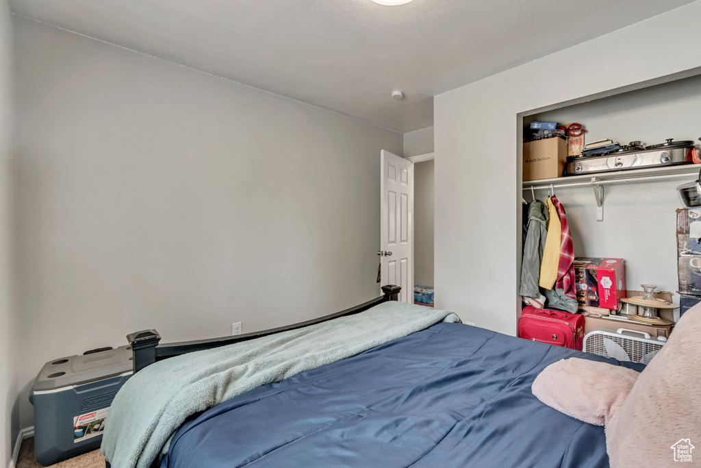 Bedroom with a closet and carpet floors