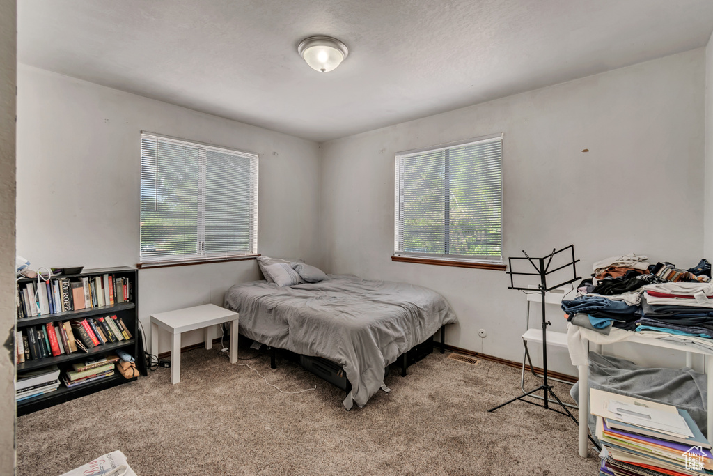 Carpeted bedroom featuring multiple windows