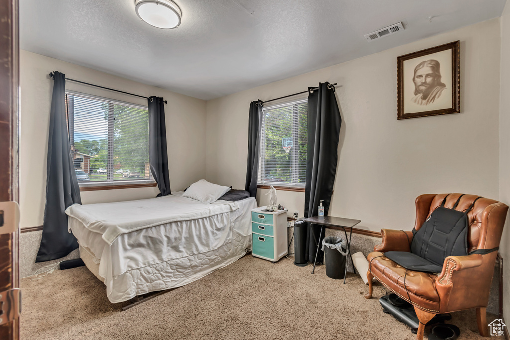 Bedroom featuring carpet floors