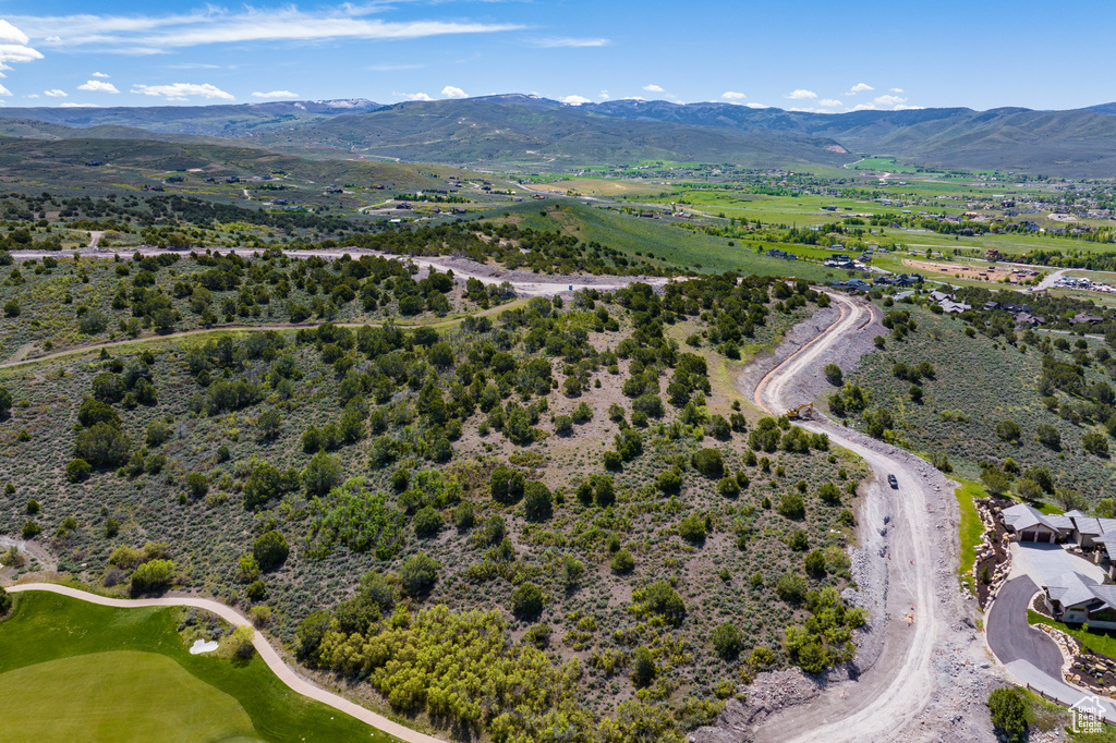 Aerial view with a mountain view