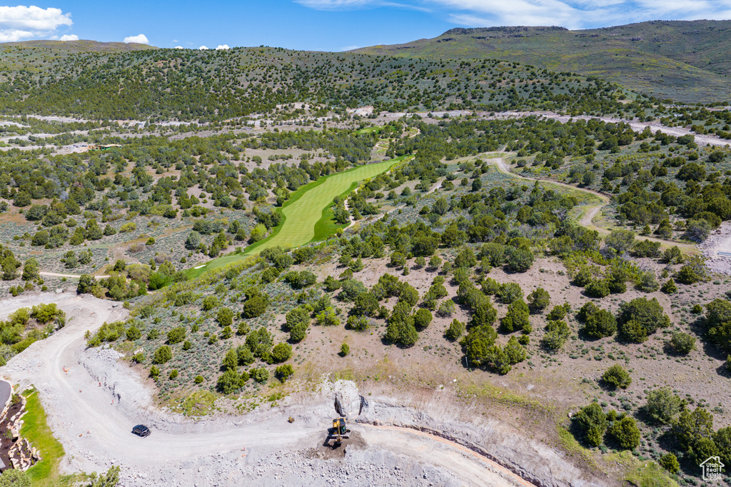 Birds eye view of property featuring a mountain view