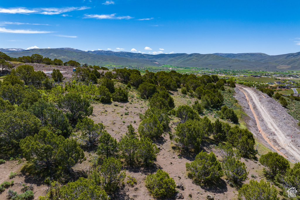 Bird's eye view featuring a mountain view