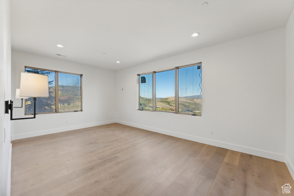 Unfurnished room featuring a wealth of natural light and light hardwood / wood-style floors