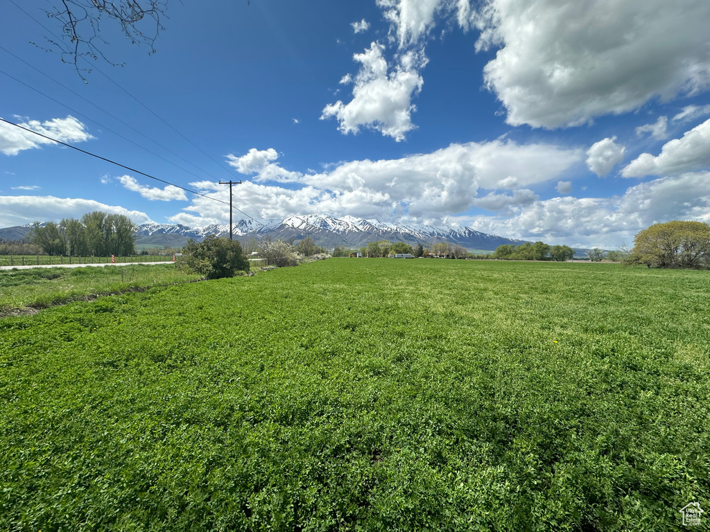 View of yard featuring a mountain view and a rural view