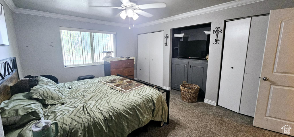 Carpeted bedroom featuring multiple closets, crown molding, and ceiling fan