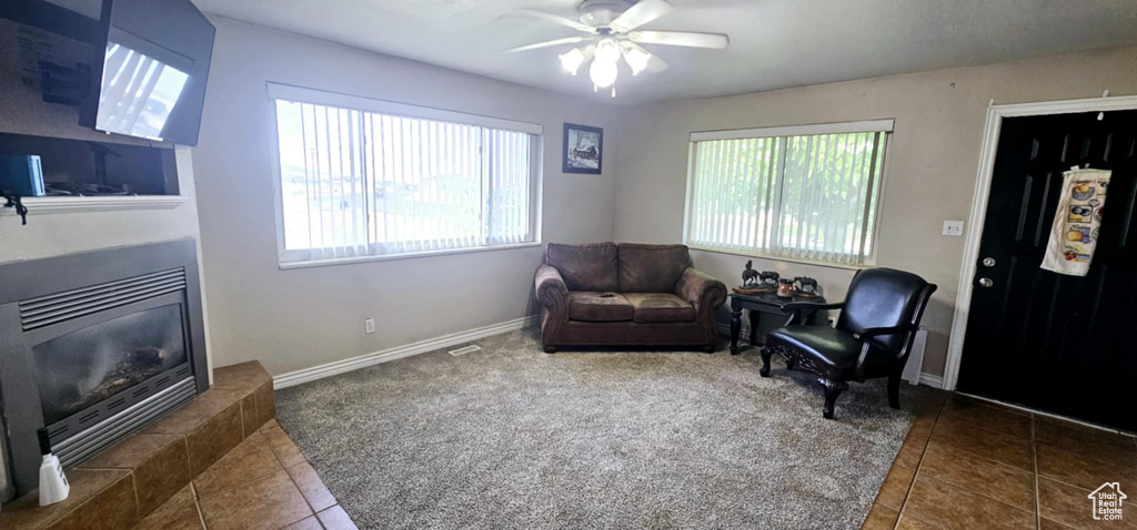 Living area featuring a healthy amount of sunlight, ceiling fan, and dark tile patterned flooring