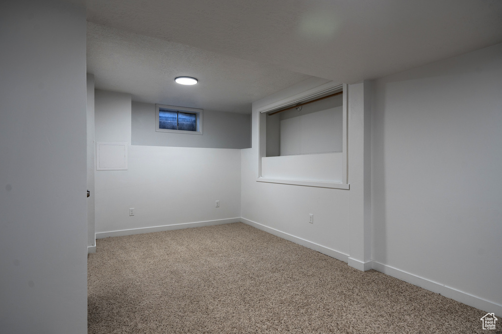 Basement featuring carpet floors