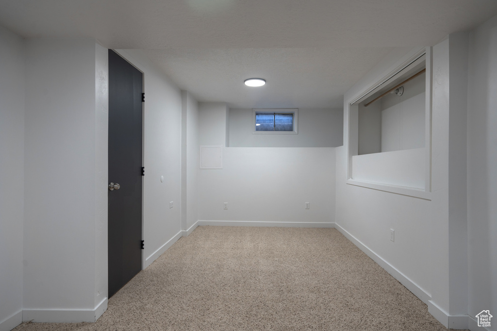 Basement with carpet floors