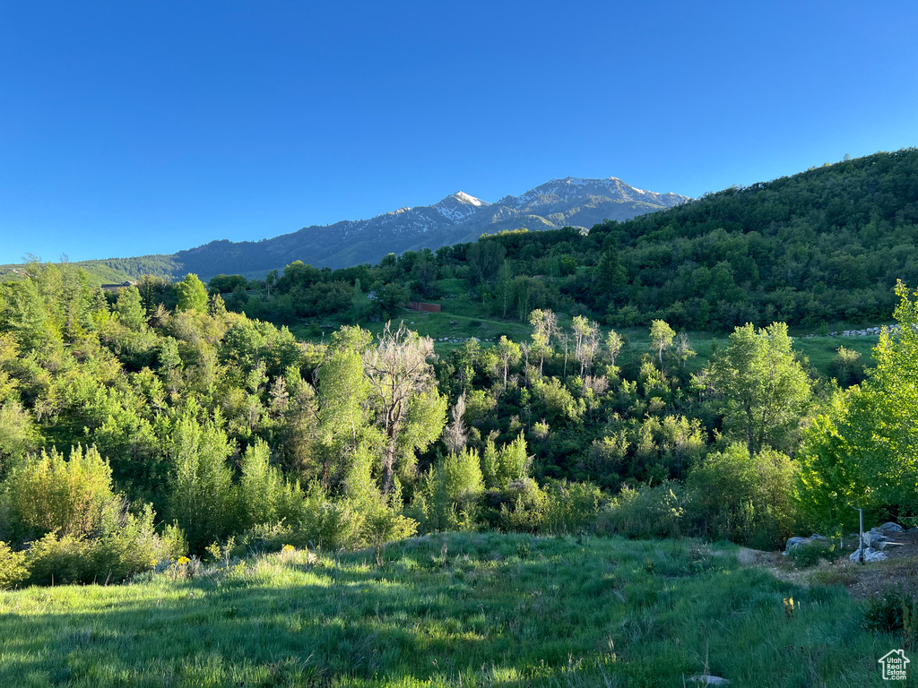 View of property view of mountains