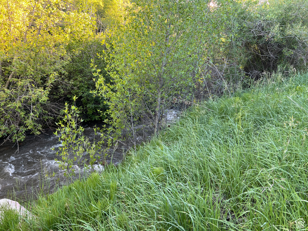 View of nature with a water view