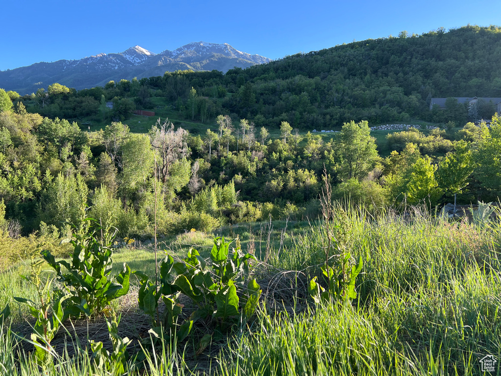 View of property view of mountains