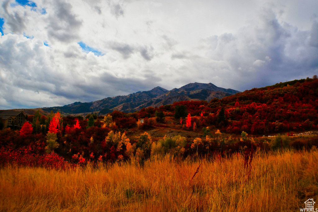 View of mountain feature