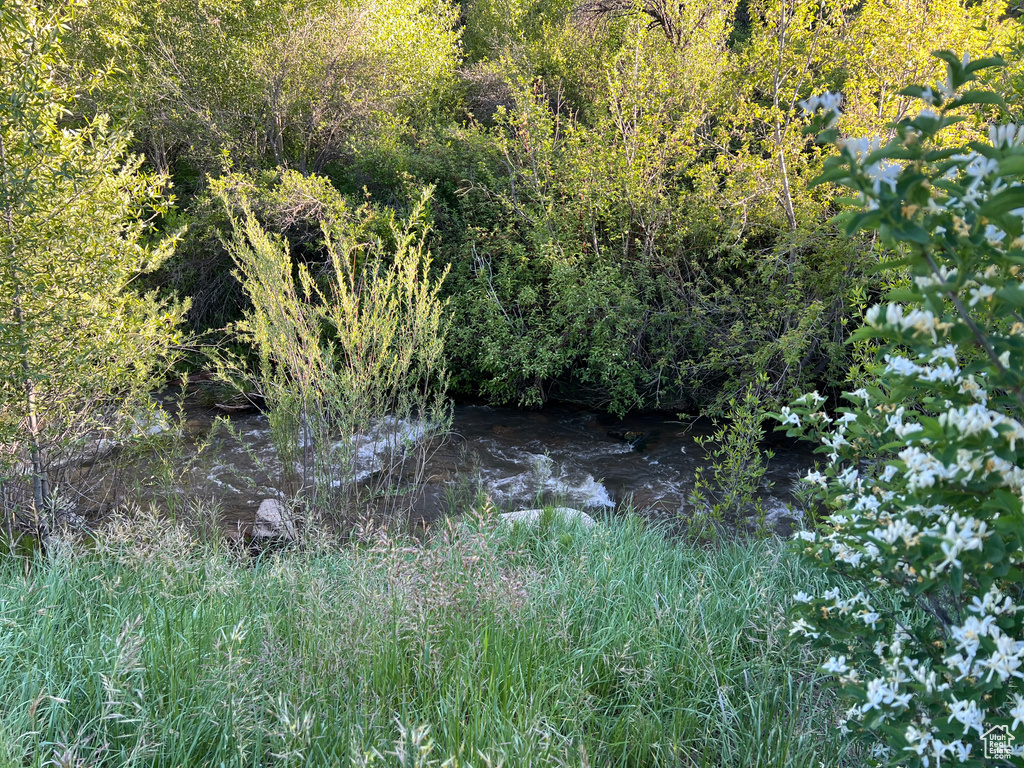 View of local wilderness featuring a water view