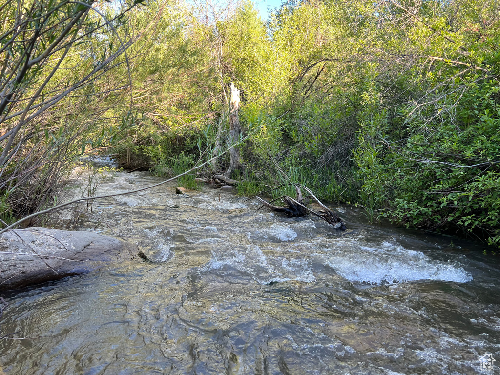 View of local wilderness featuring a water view