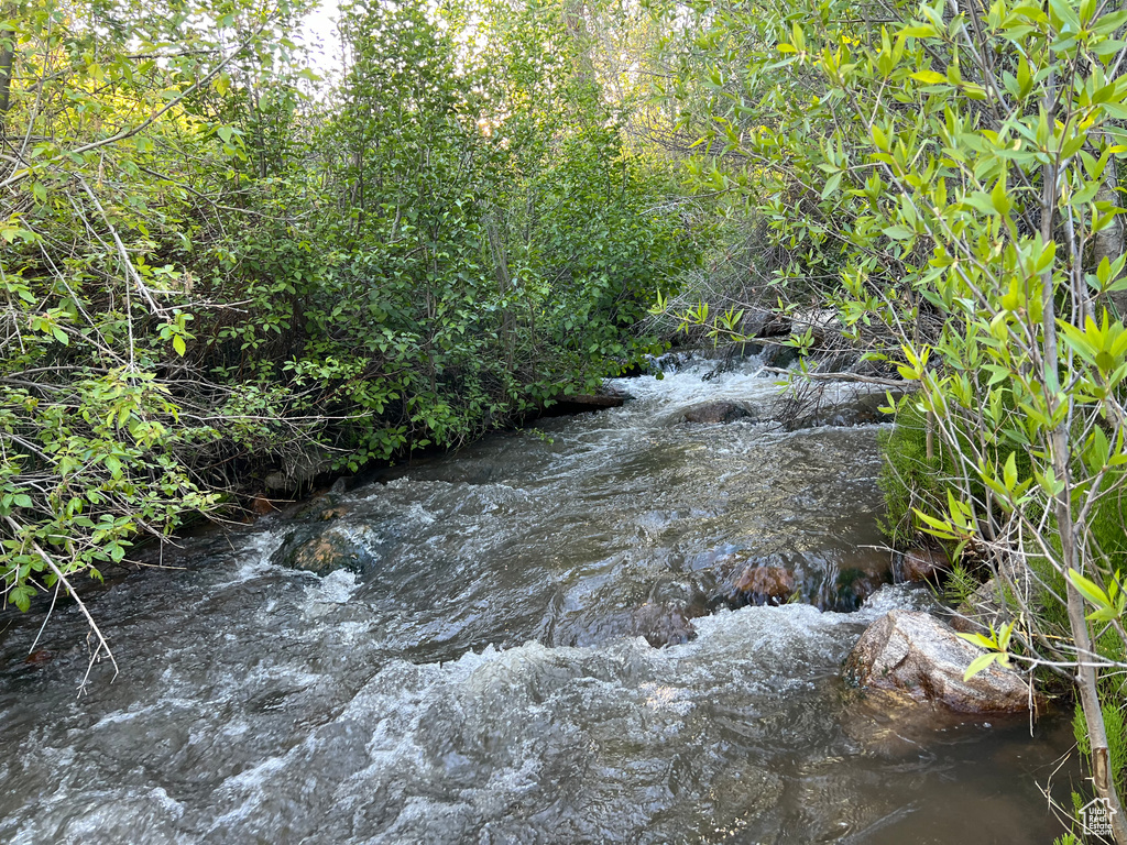 View of nature with a water view