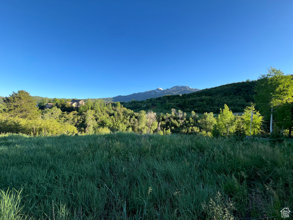 View of property view of mountains