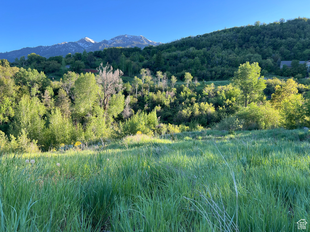 View of mountain feature