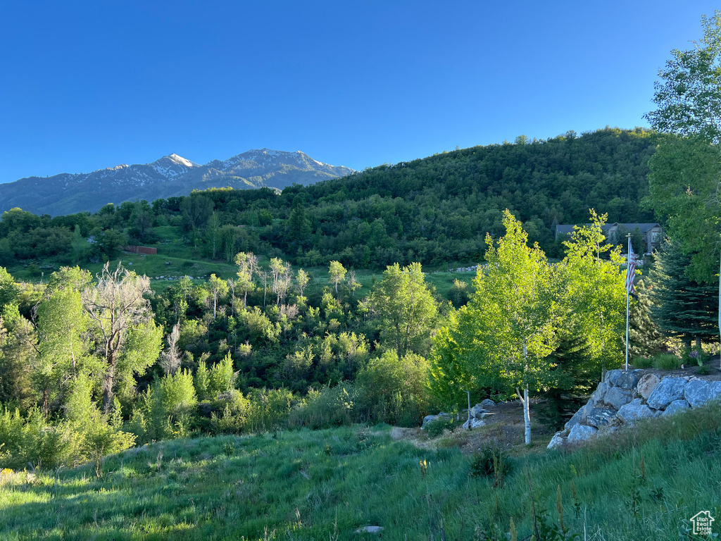 View of mountain view