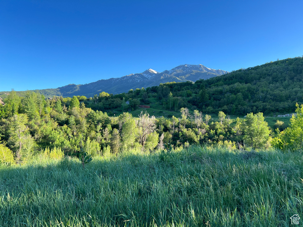 View of mountain feature