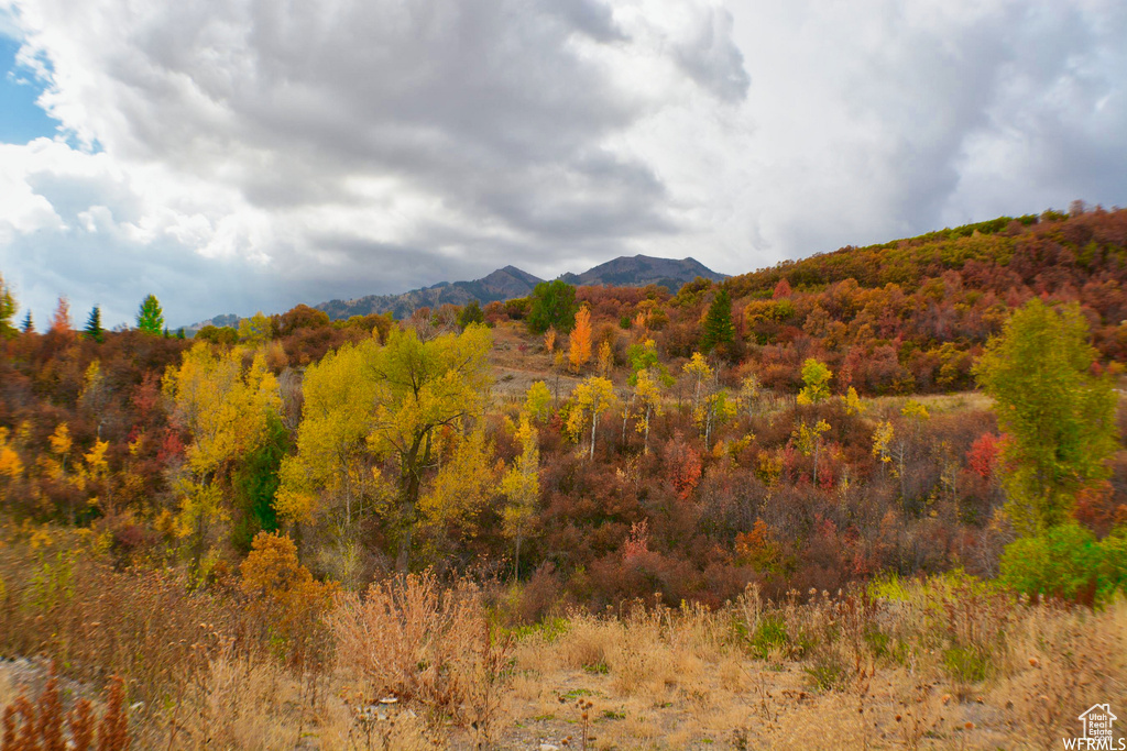 View of mountain feature