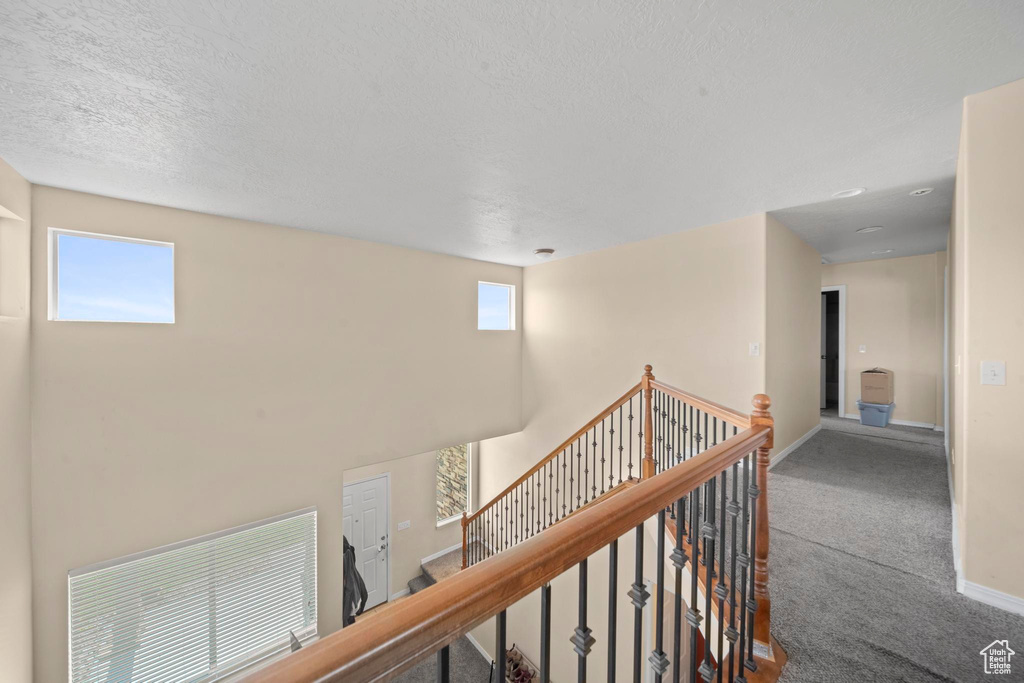 Hallway featuring carpet and a textured ceiling