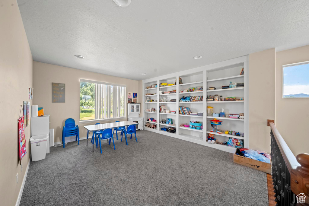 Recreation room with a textured ceiling and carpet floors