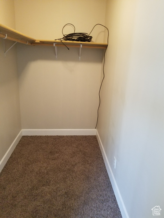 Walk in closet with carpet