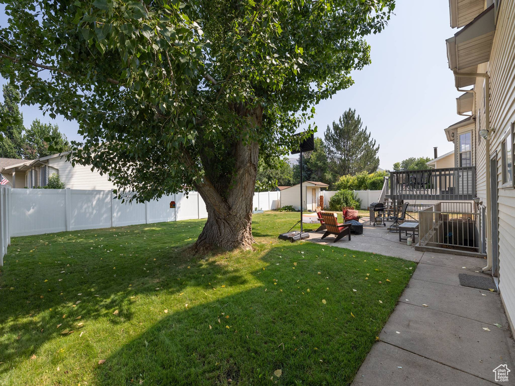 View of yard featuring a patio and a storage unit