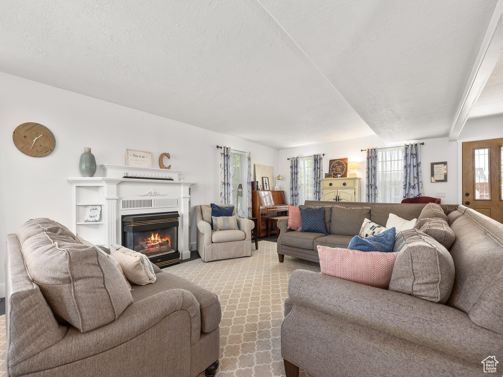 Living room with light carpet and a textured ceiling