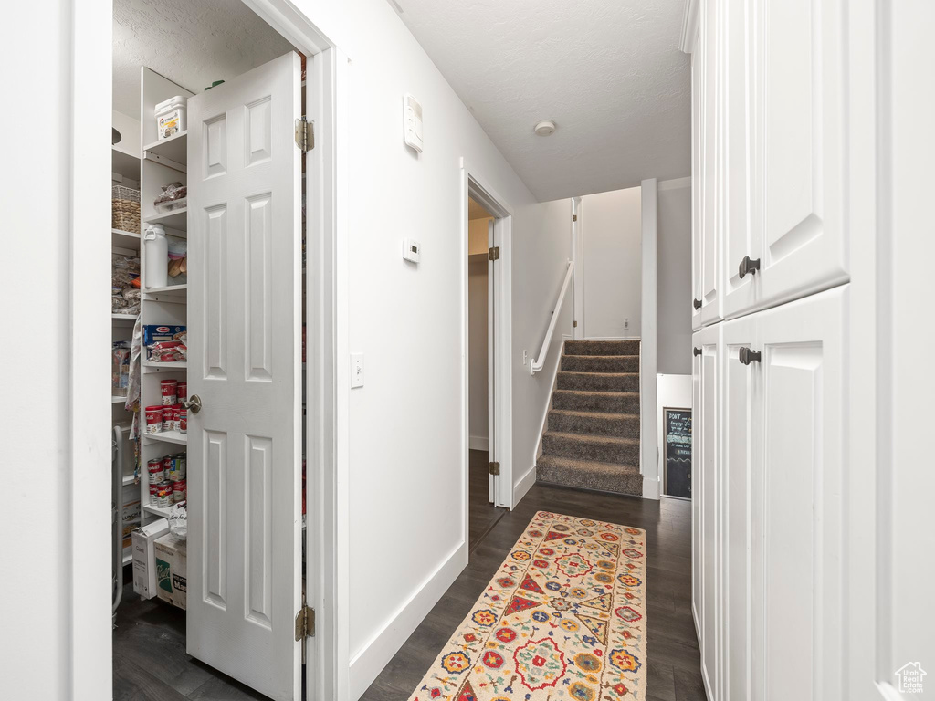 Hallway with dark wood-type flooring