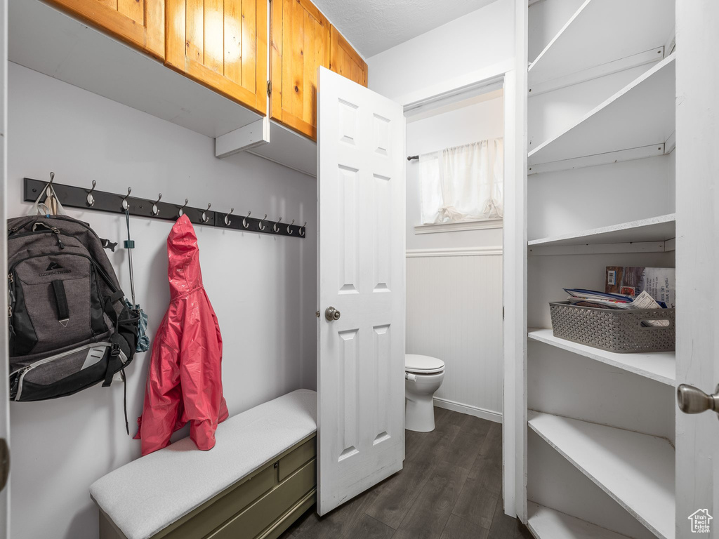 Spacious closet featuring dark hardwood / wood-style floors