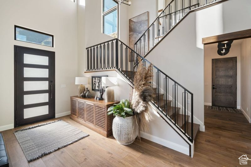 Entryway featuring a high ceiling and wood-type flooring