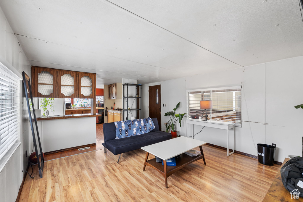 Living room featuring wood-type flooring