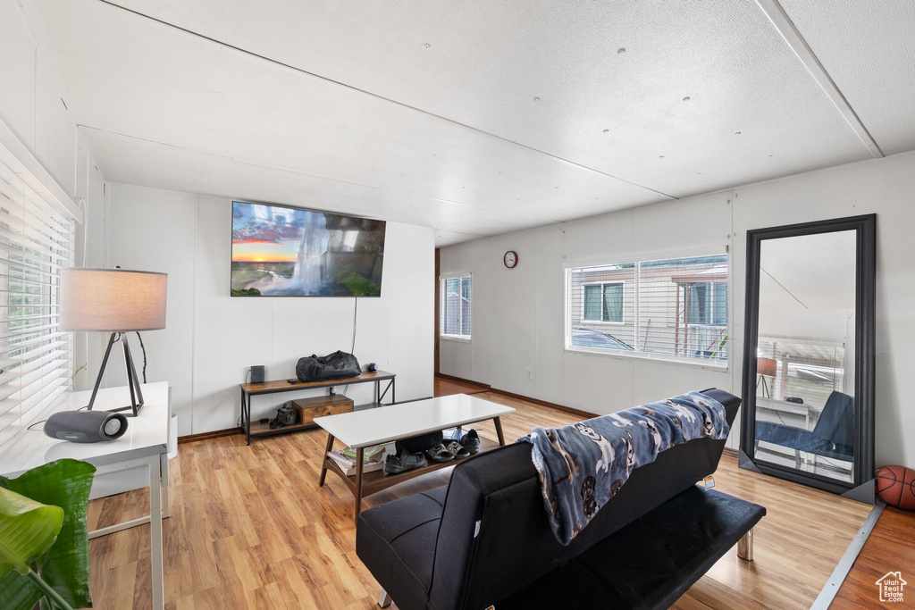 Living room featuring a wealth of natural light and light wood-type flooring