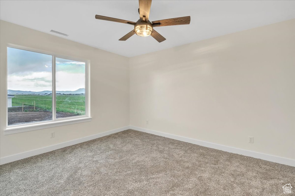 Empty room featuring carpet, ceiling fan, and plenty of natural light