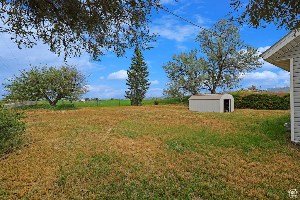 View of yard with a rural view and a storage shed