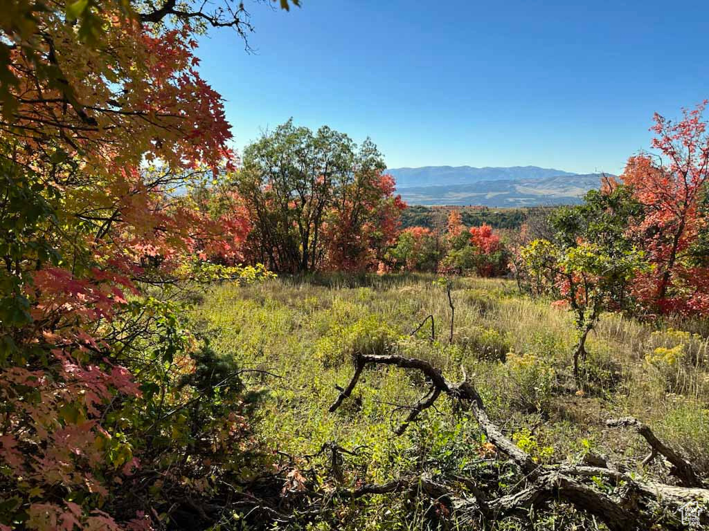 View of mountain feature