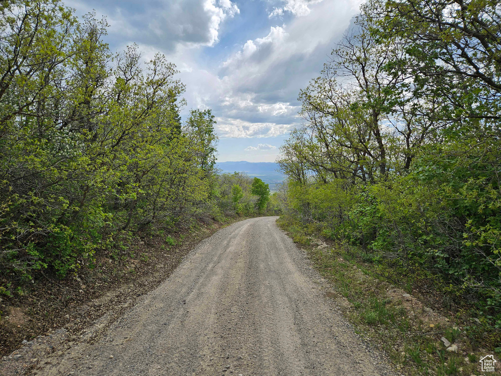 View of street