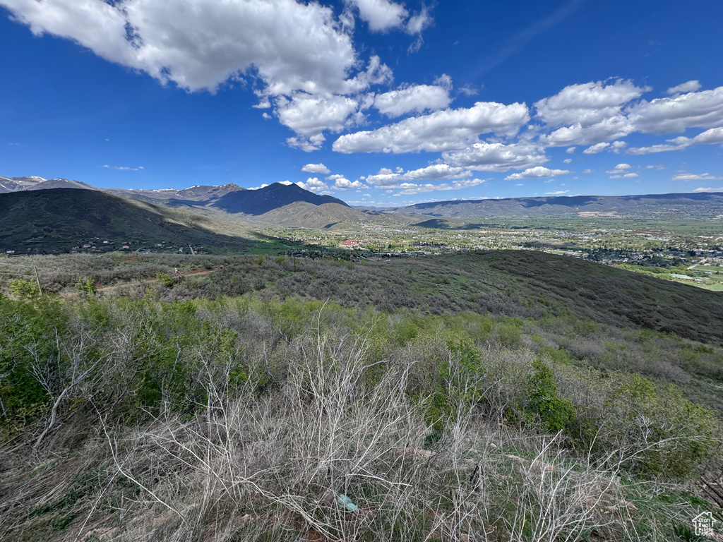 View of property view of mountains